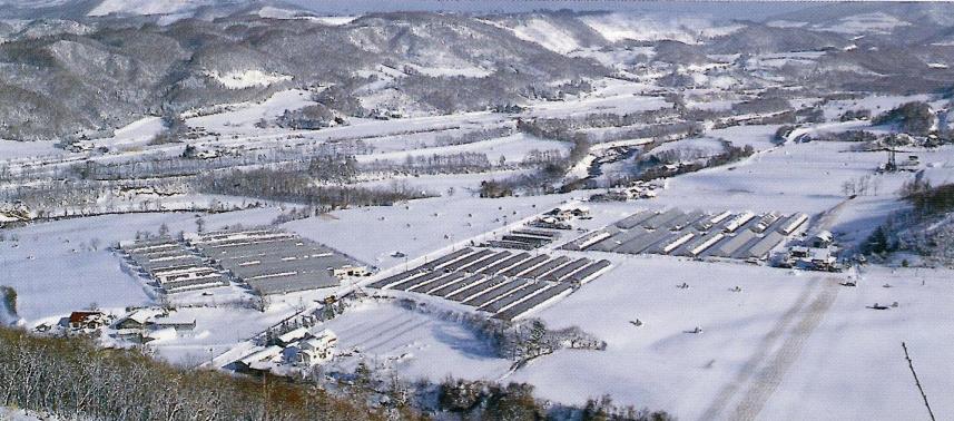 地熱団地