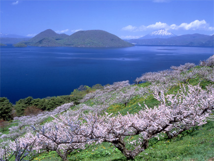 環境景観保全