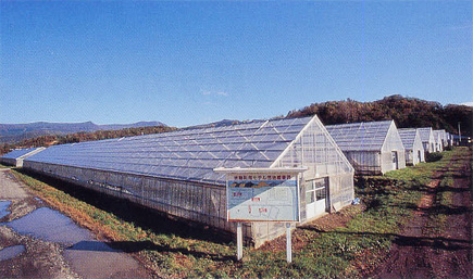 地熱ハウス