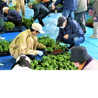 第47回壮瞥高校朝市が開催されました