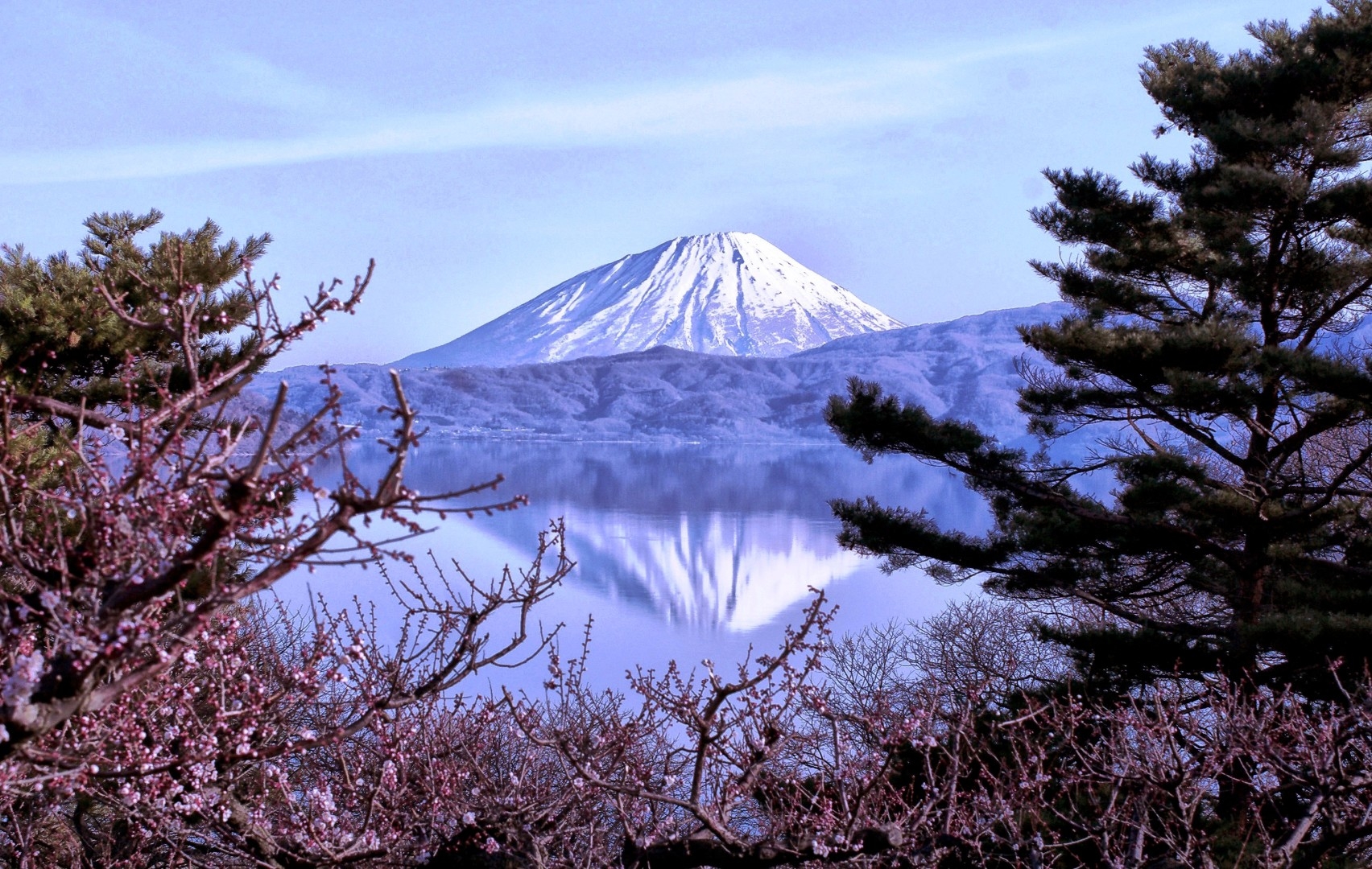 20200306_Yotei.jpg