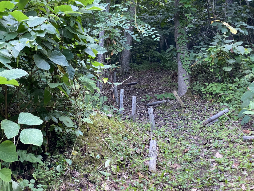 20200911_shimizu_blog2.jpeg