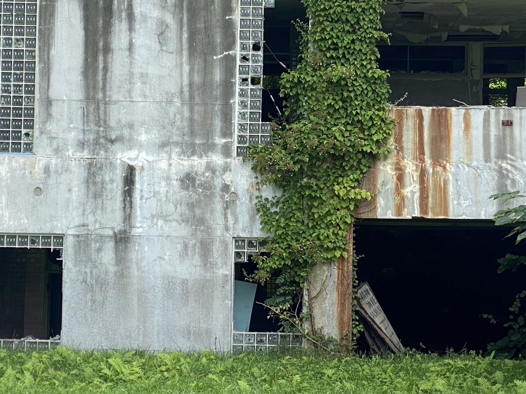 20200918_shimizu_blog6.jpeg