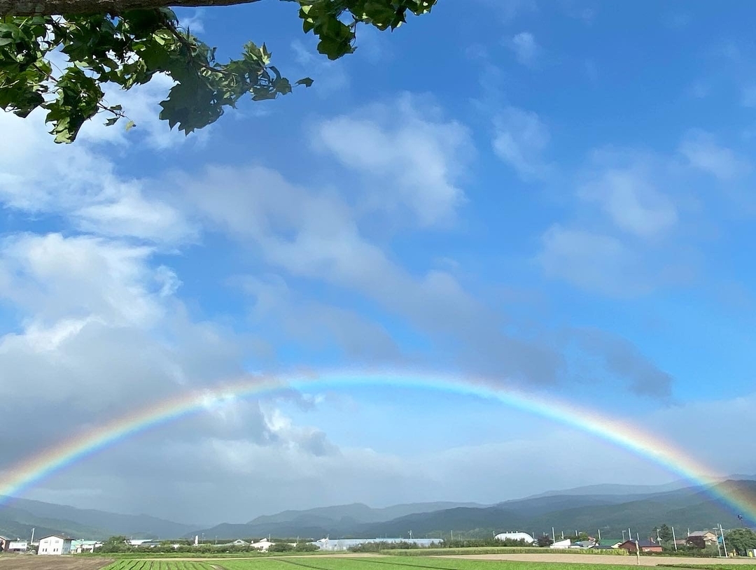 20200925_shimizu_blog2.jpeg