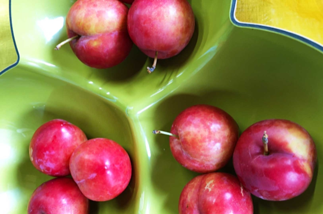 20201009_sy_plum.jpg