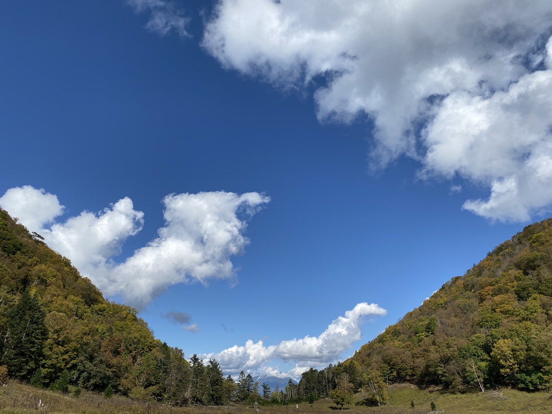 20201104_sm_nakajima13.JPG