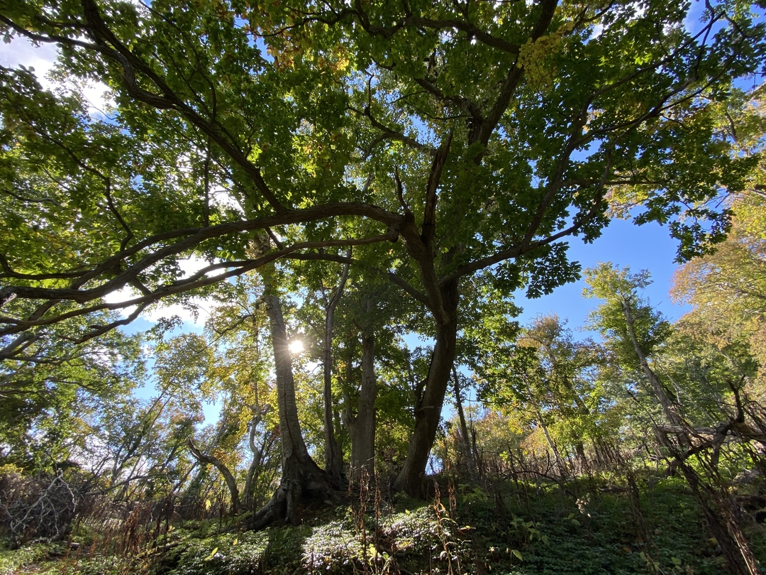 20201104_sm_nakajima14.JPG