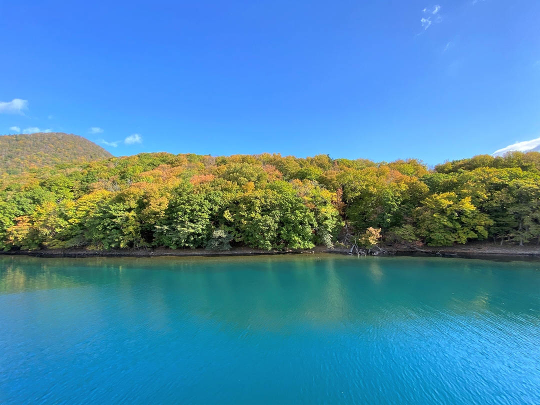 20201104_sm_nakajima8.JPG