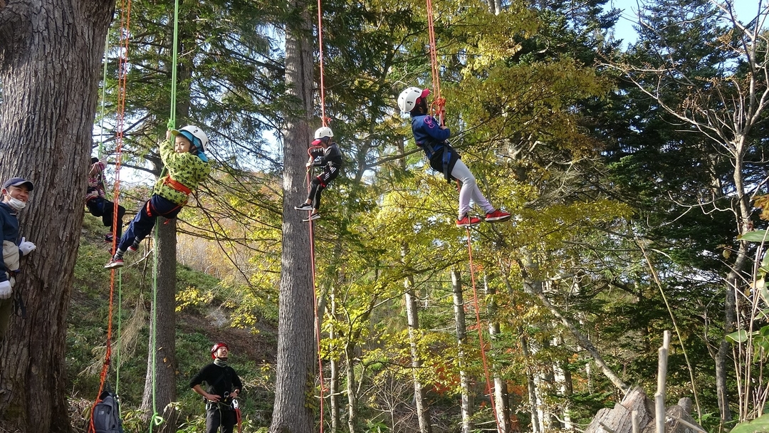 20201117_outdoor_NA2.JPG