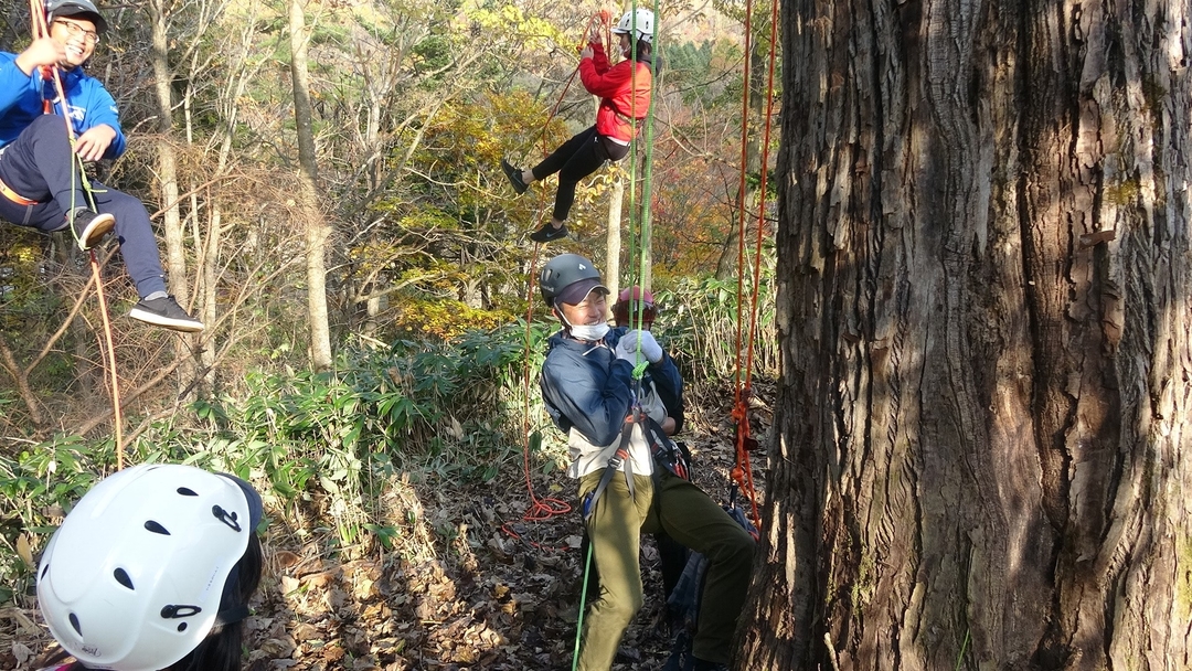 20201117_outdoor_NA5.JPG