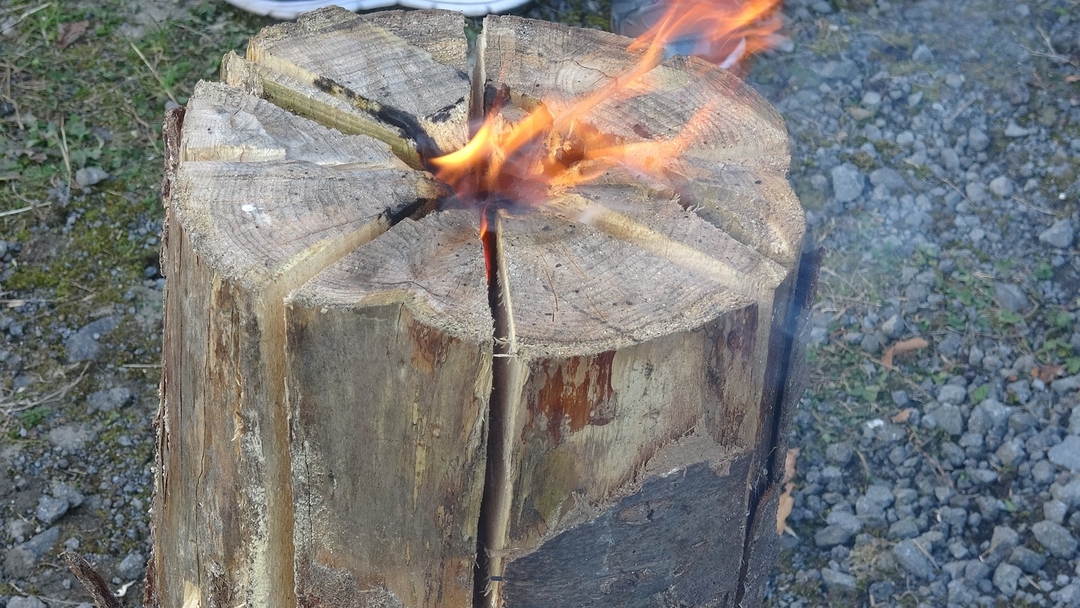 20201117_outdoor_NA7.JPG