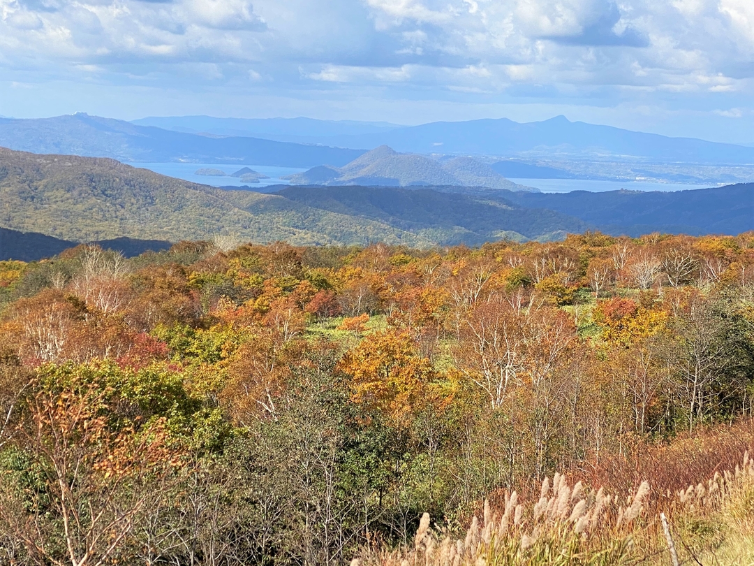 20201204_sm_kouyou1.JPG