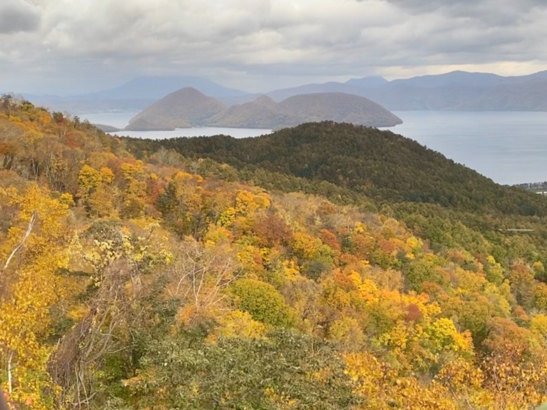 20201204_sm_kouyou13.png