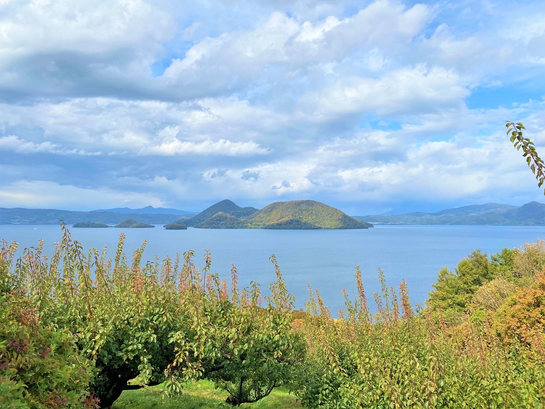 20201204_sm_kouyou6.JPG
