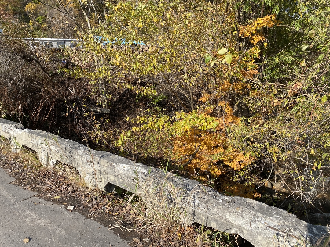 20201209_sm_iburisenato6.JPG