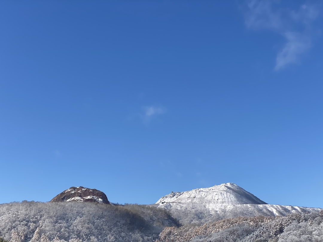 20201224_sm_ijyu1.JPG