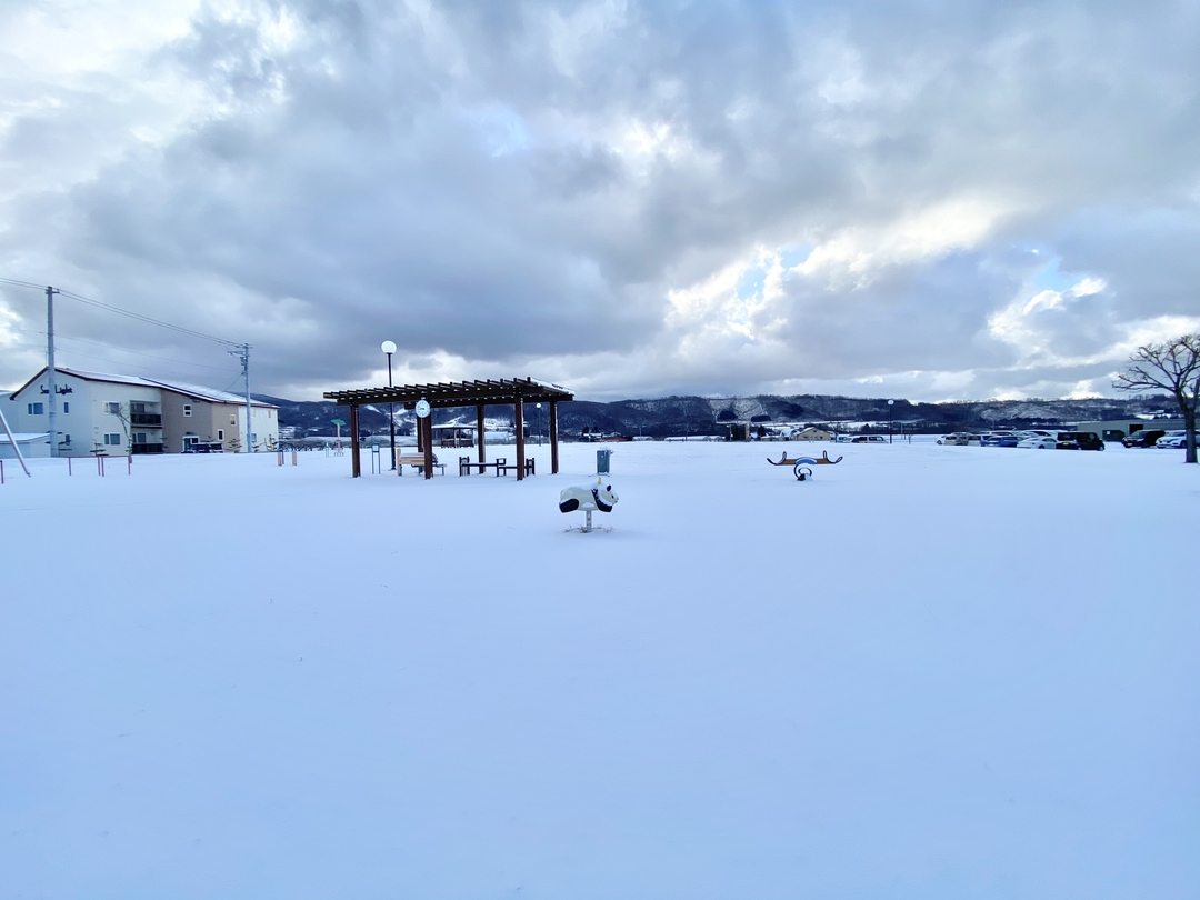 20201224_sm_ijyu2.jpg