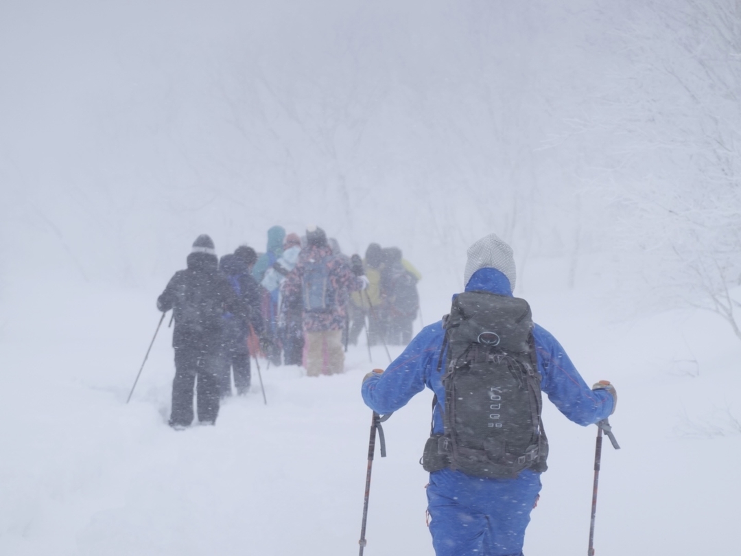 20210218_sm_snowshoes10.JPG