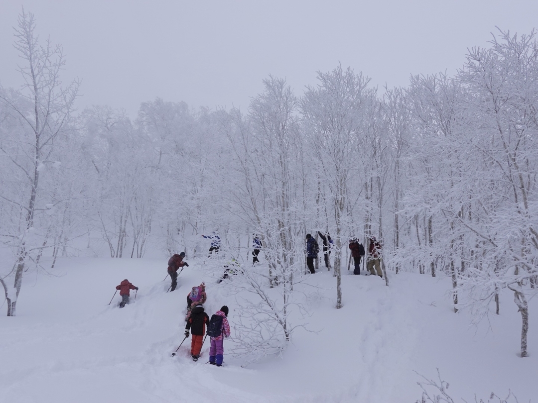 20210218_sm_snowshoes3.JPG