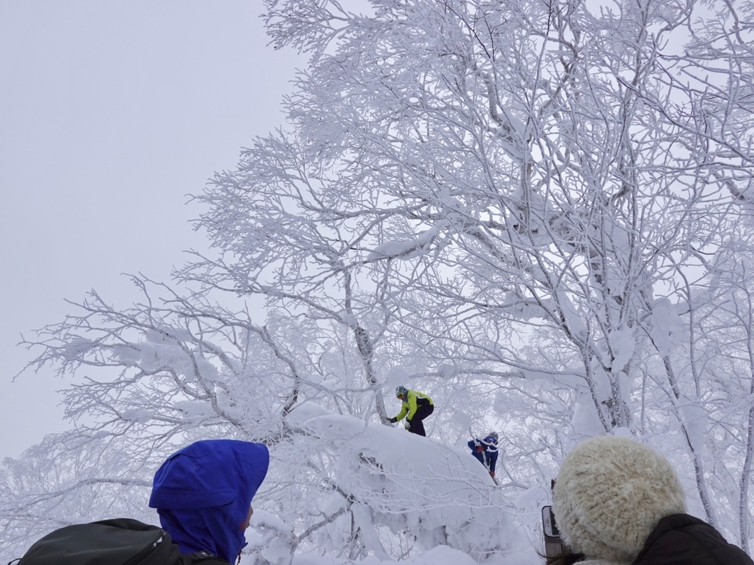 20210218_sm_snowshoes7.JPG
