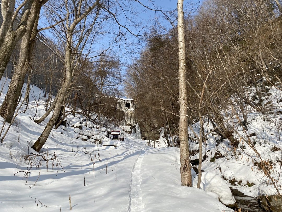 20210225_sm_hyoujyun1.JPG
