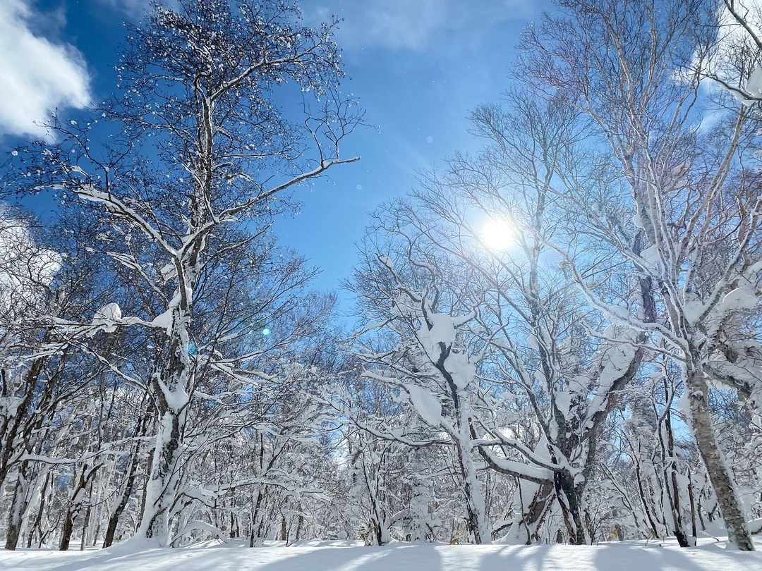 20210303_sm_jyuhyo4.JPG