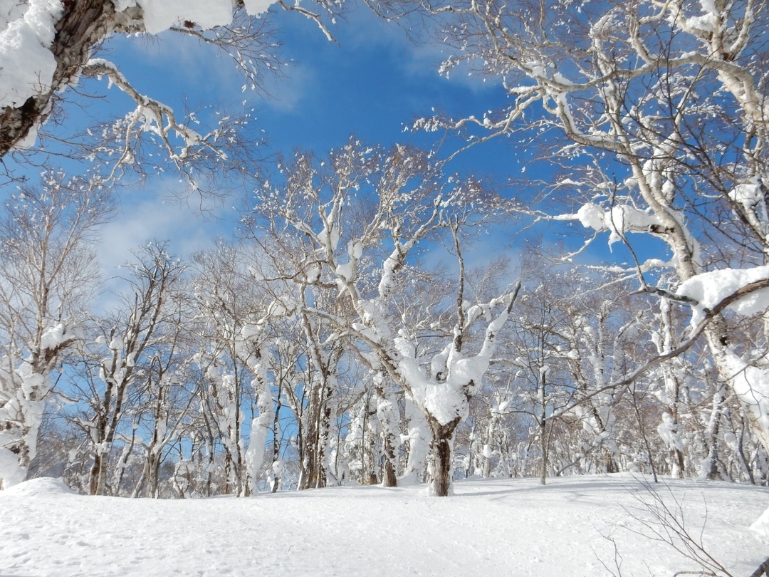 20210221_NA_winspo_4.JPG
