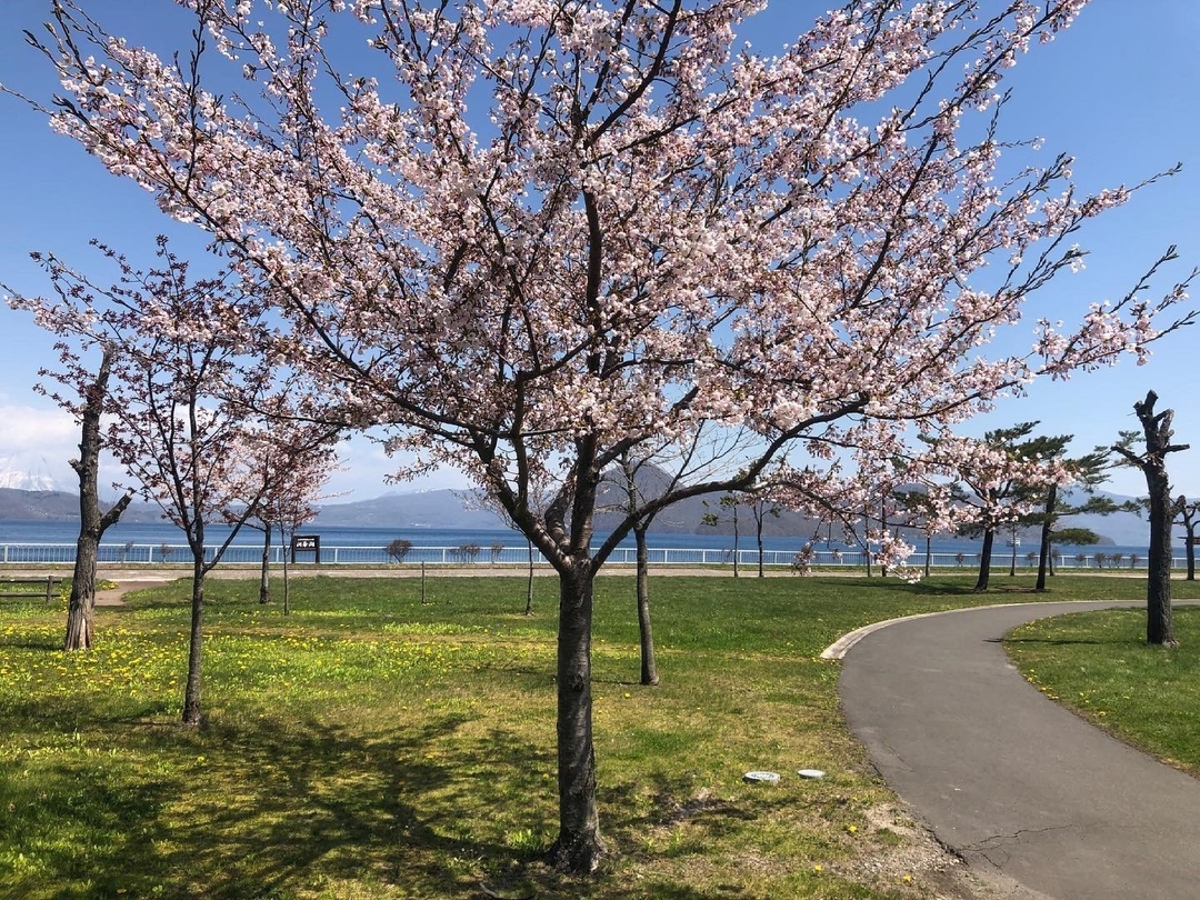 20210610_NA_walk2.jpg
