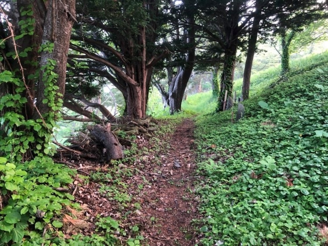 20210610_NA_walk4.jpg