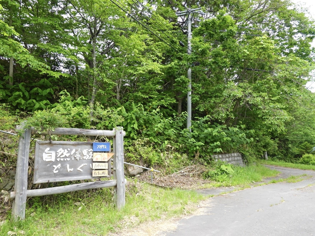 20210705_sm_amadeusu14.JPG