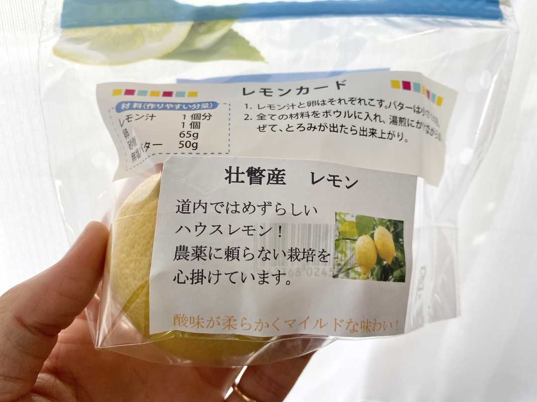 20210730_sm_summer3.JPG