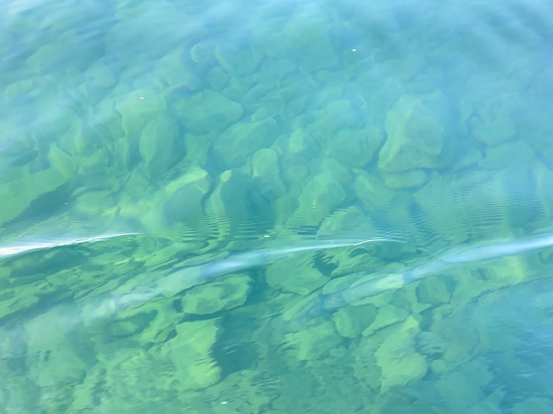 20210803_sm_zero7.JPG