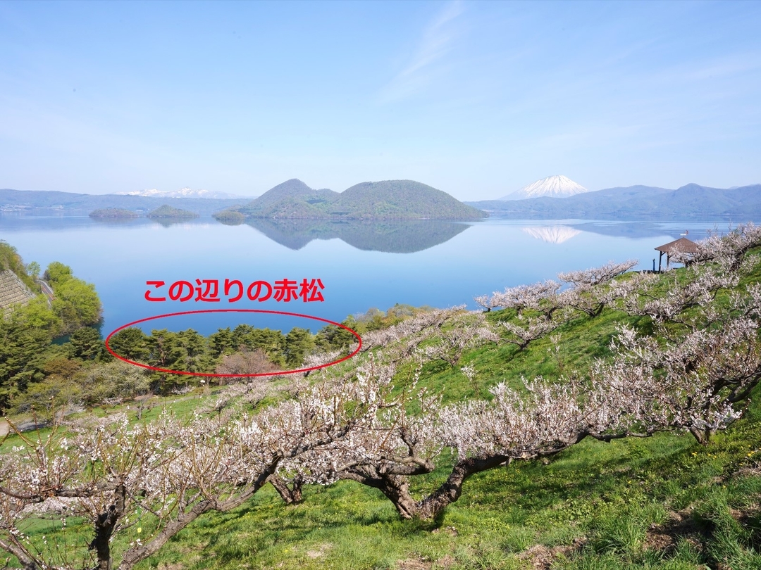 20220525_ir_koushosentei_01_matsunoichi.jpg