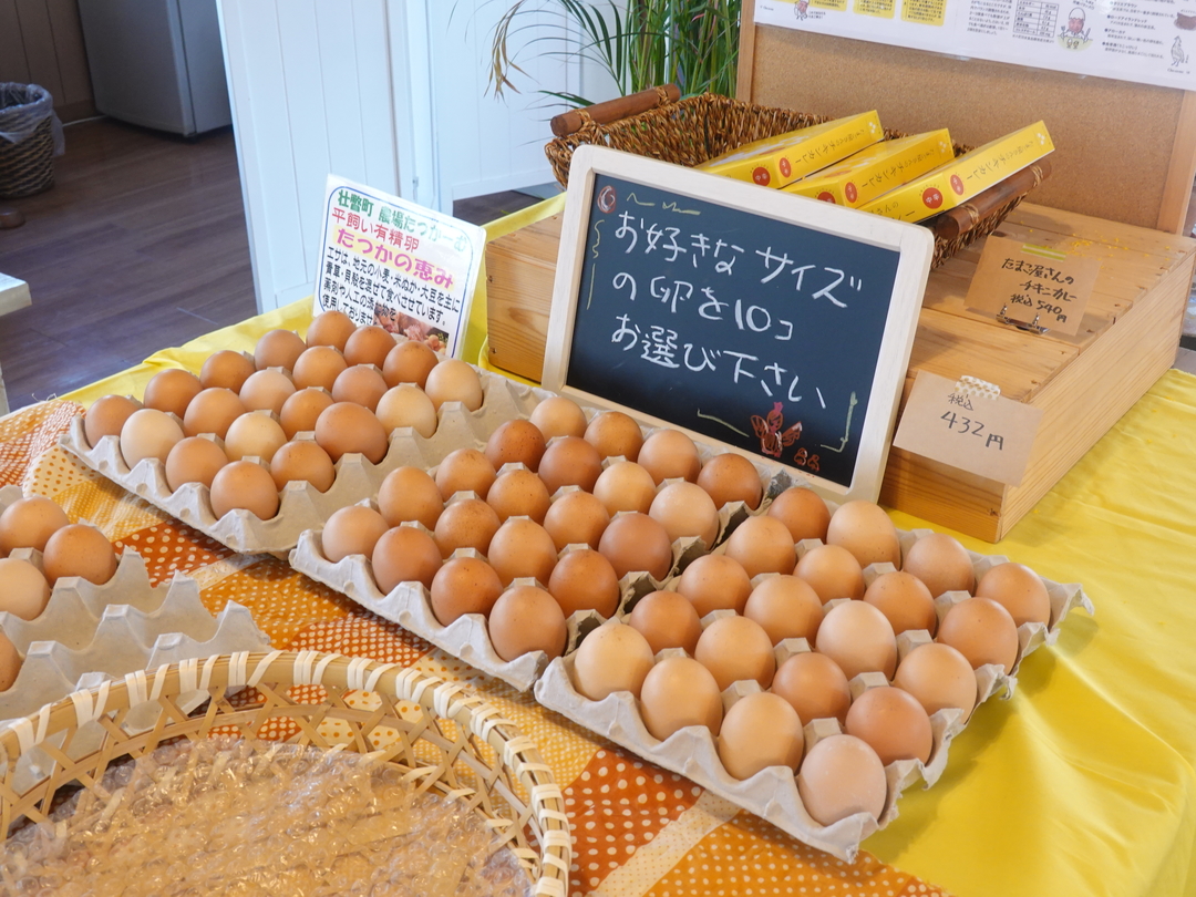20220627_sm_tamagocafe1.JPG