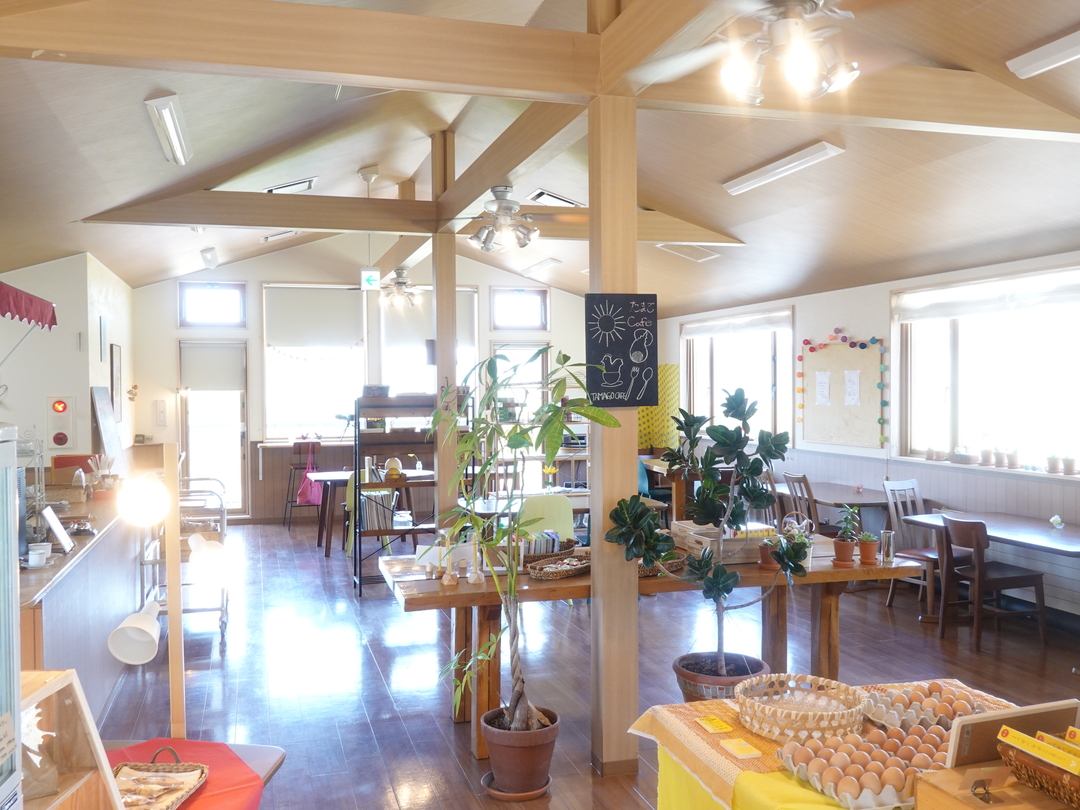 20220627_sm_tamagocafe2.JPG