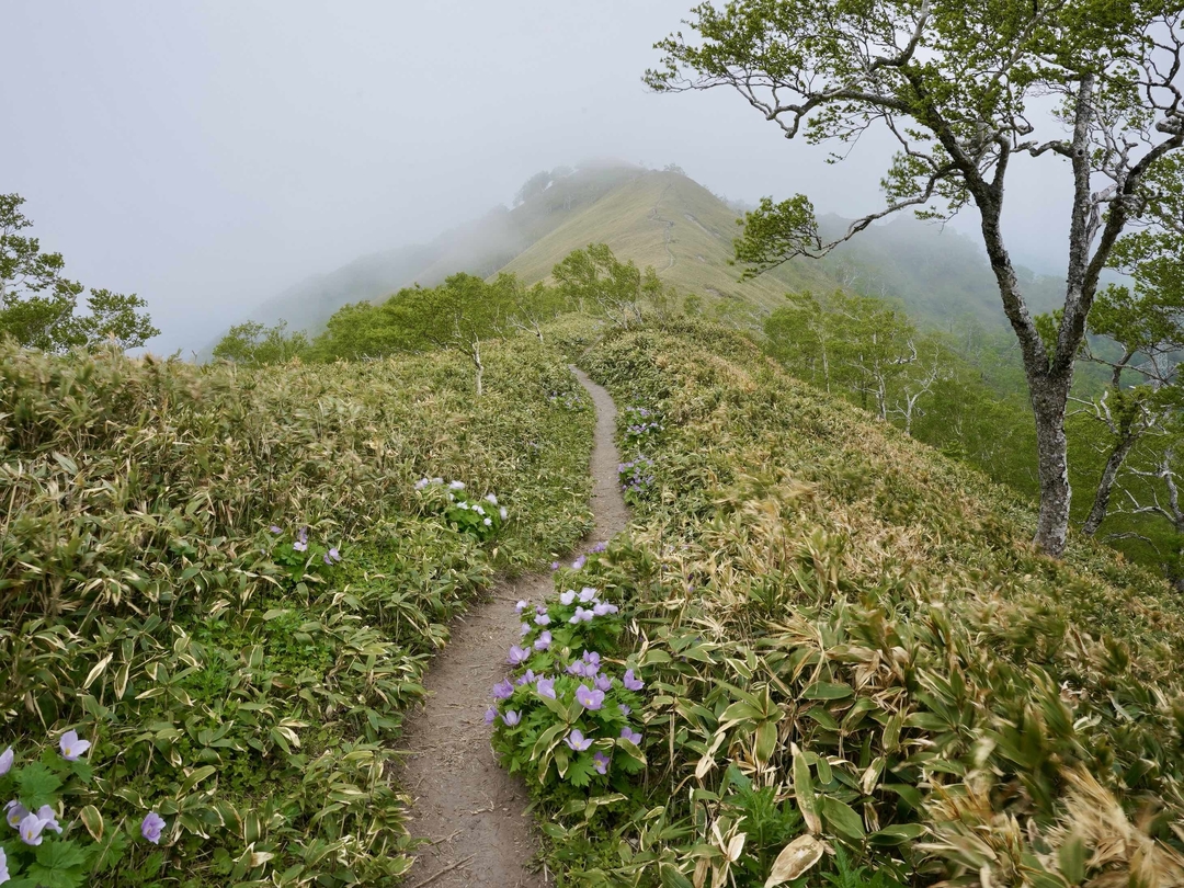 20220729_ir_enjoymountain_04_monbetsu.jpg