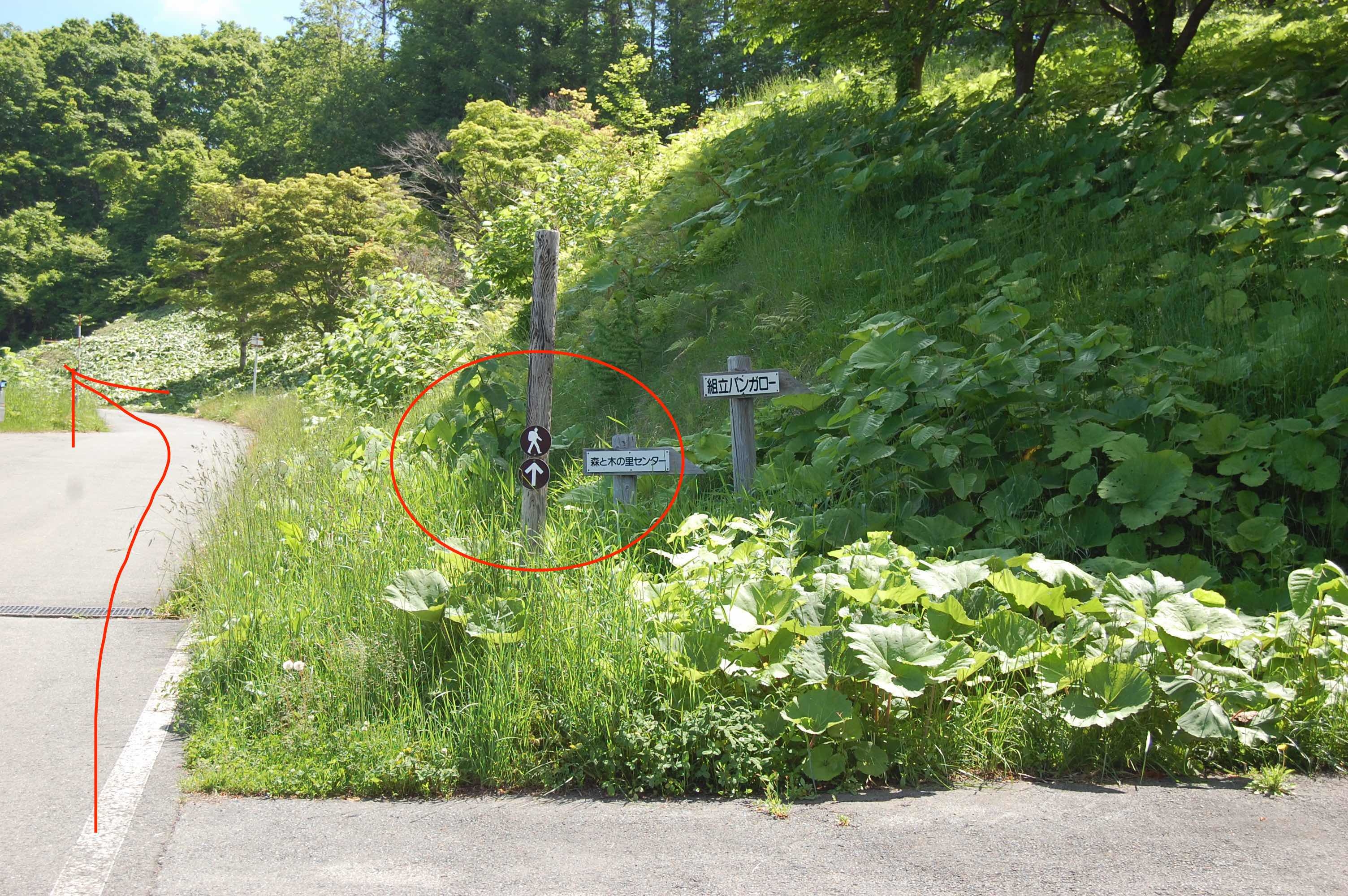 2017.6.22.footpath.16.jpg