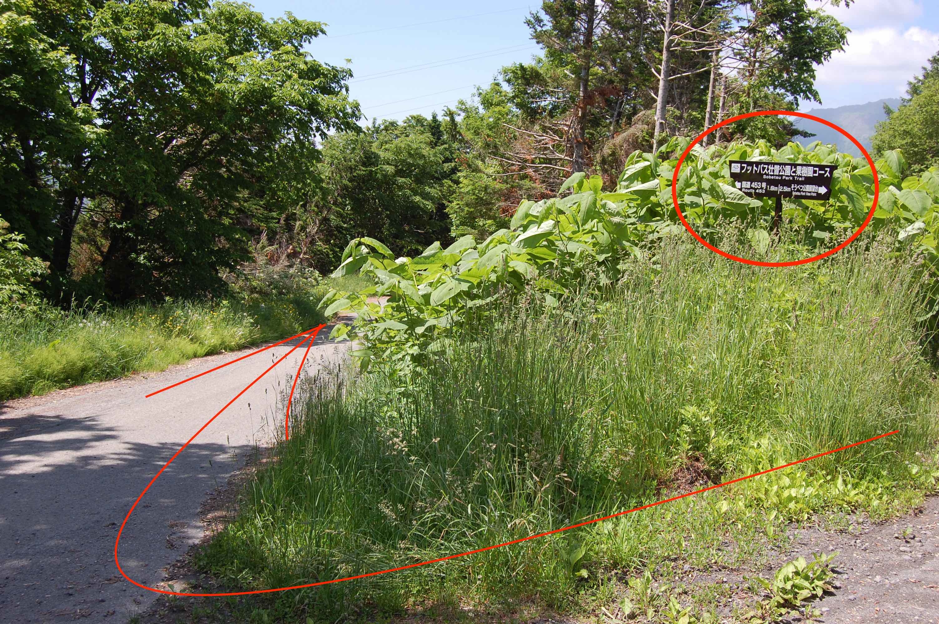 2017.6.22.footpath.18.jpg