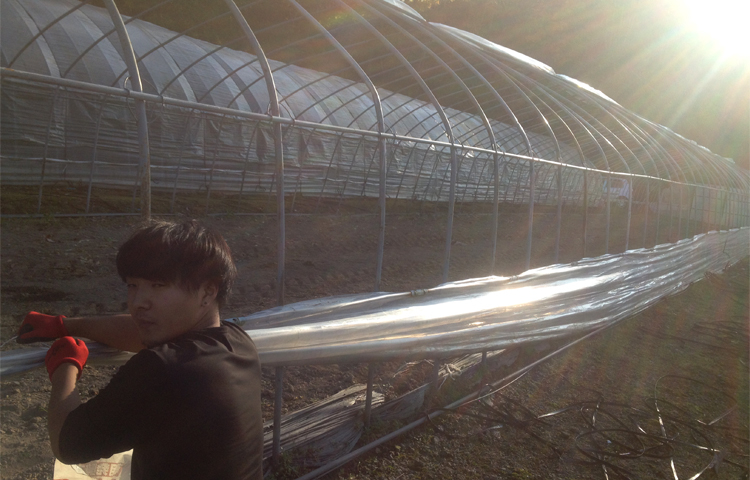 2017_shimizu_house.jpg