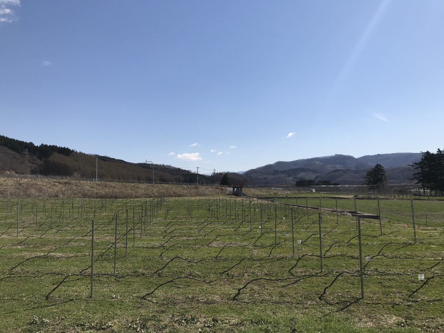 20210513_ks_spring.jpg