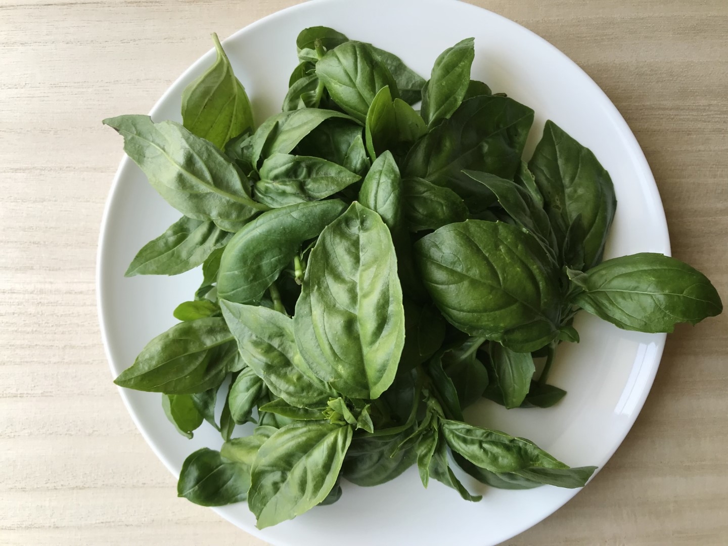 20210719_ks_basil.jpg