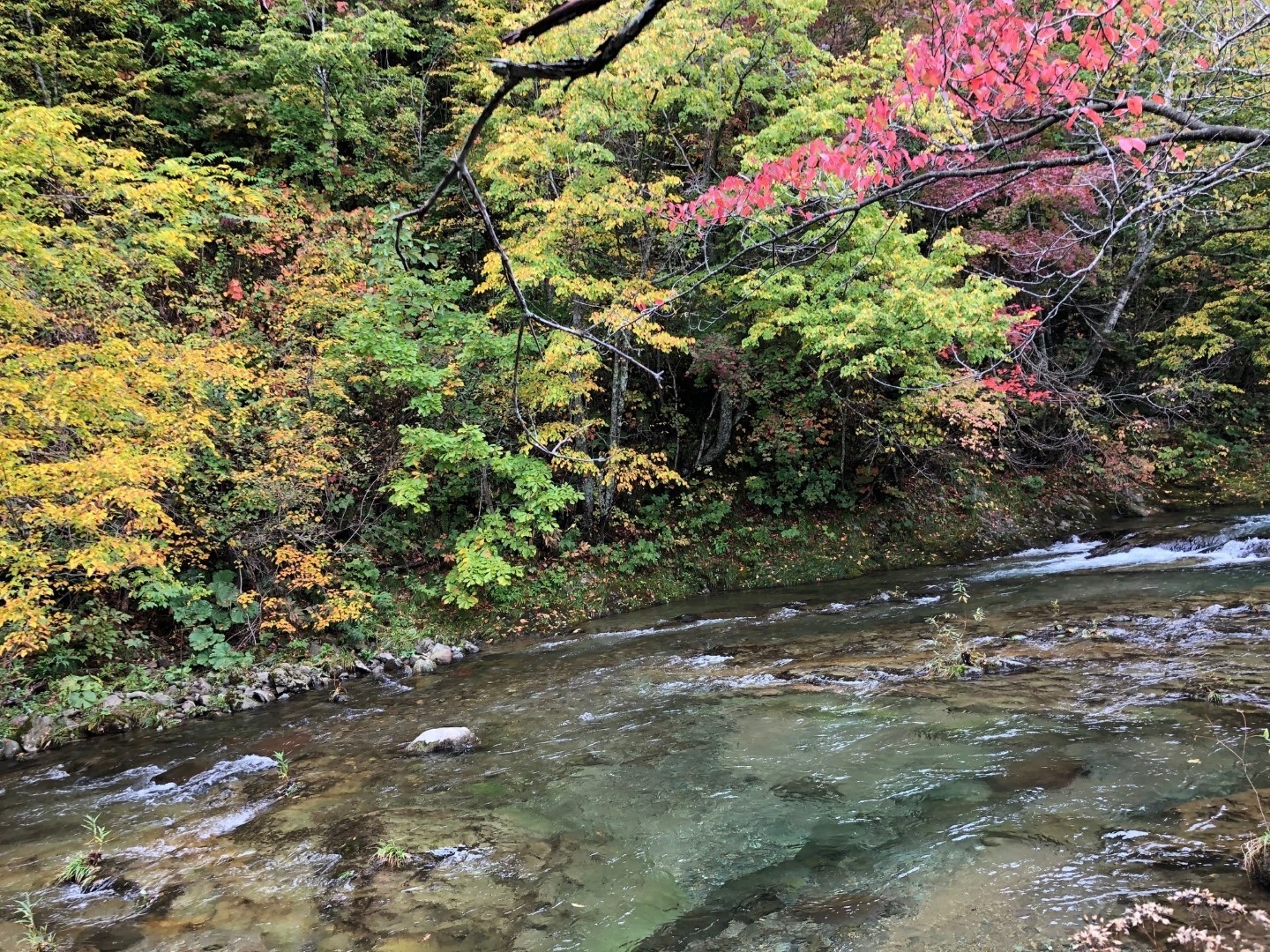 20211110_sy_sangaitaki2.jpeg
