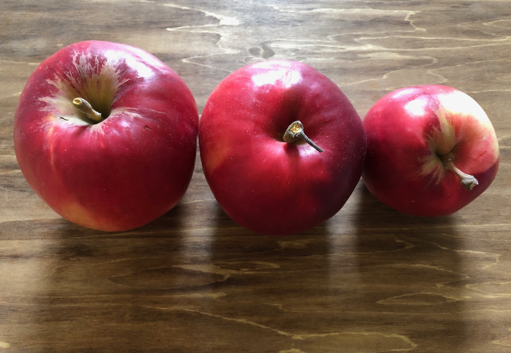 20211111_sy_apple.jpeg