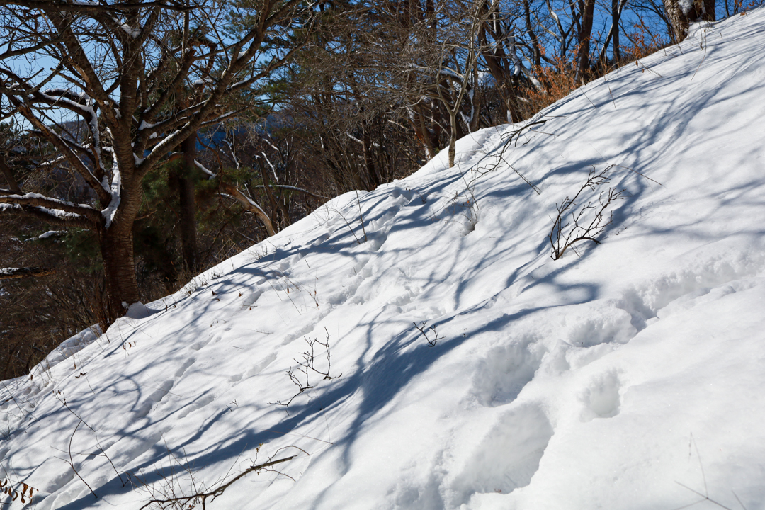 20220201_mf_sobetsupark-3.jpg