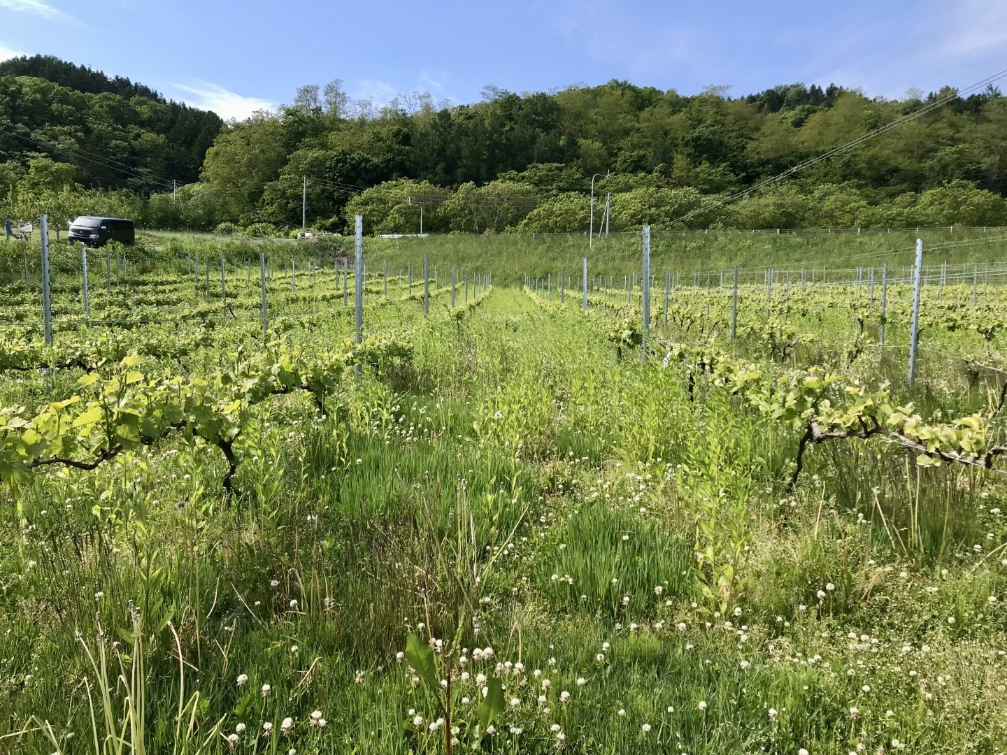 20220630_ks_wine_1.jpg