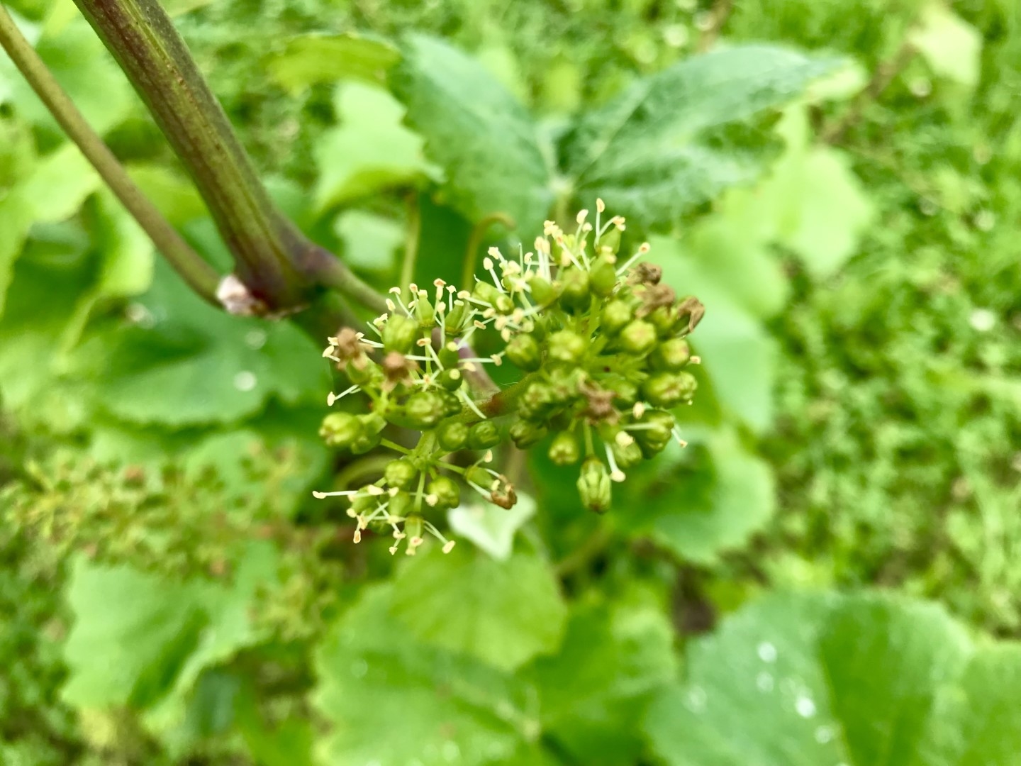 20220727_ks_wine5.jpg