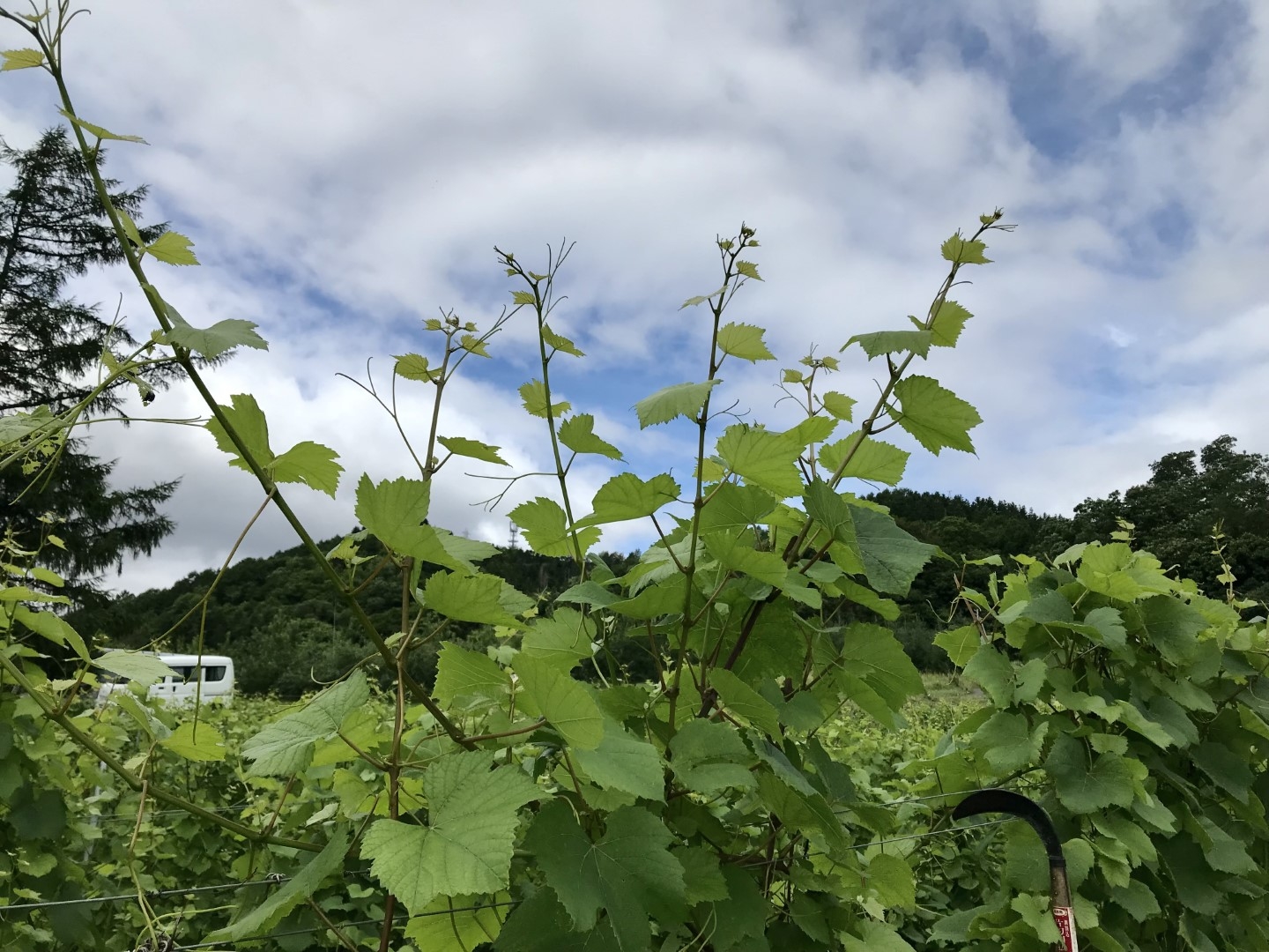 20220831_ks_wine2.jpg