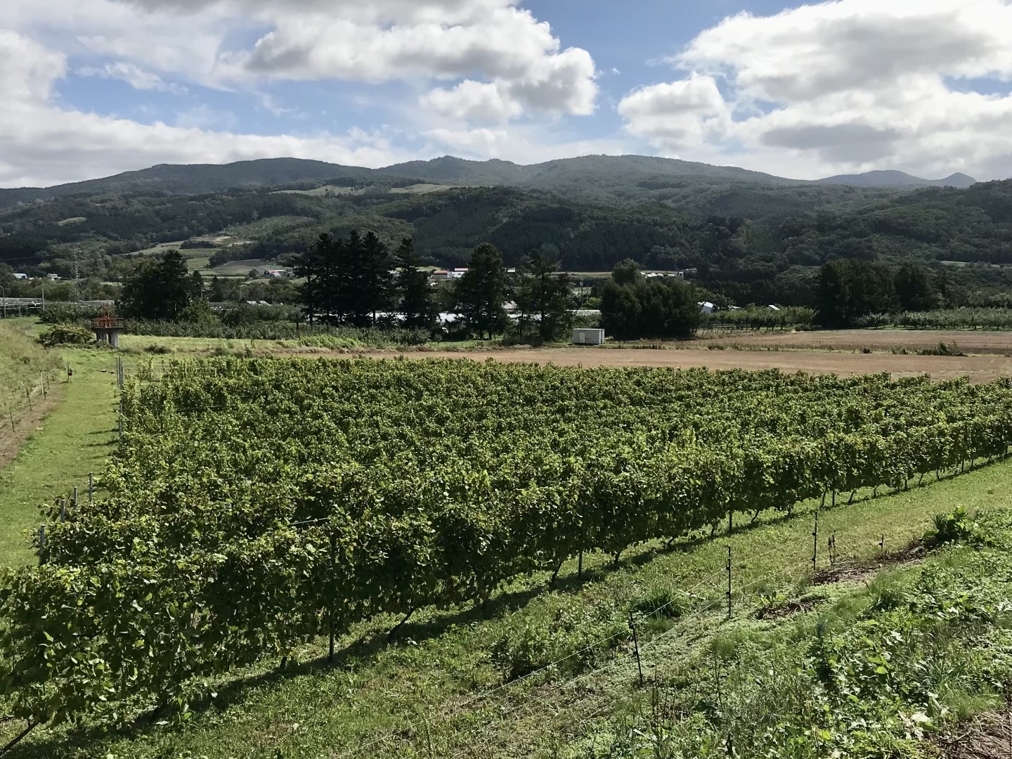 20220929_ks_wine_5.jpg
