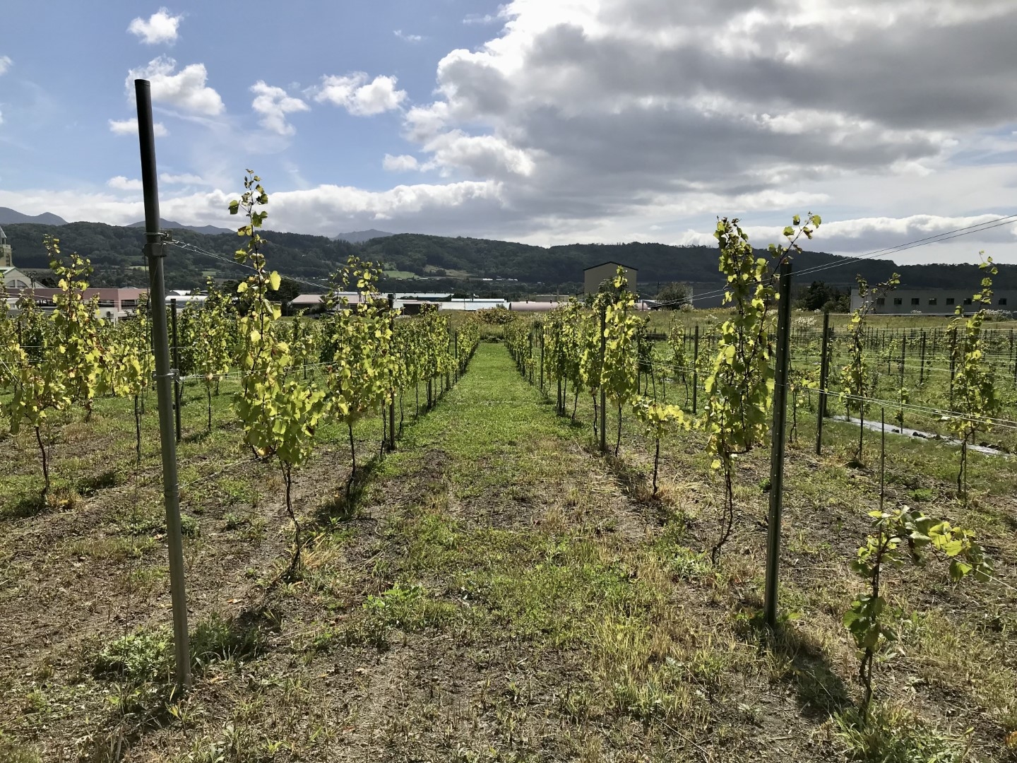 20220929_ks_wine_6.jpg