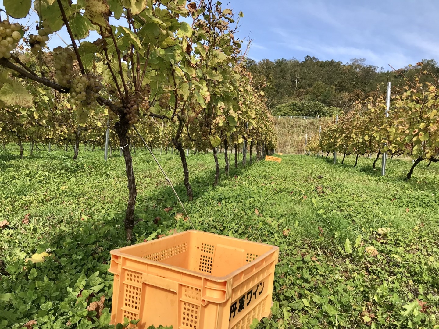 20221026_ks_wine3.jpg